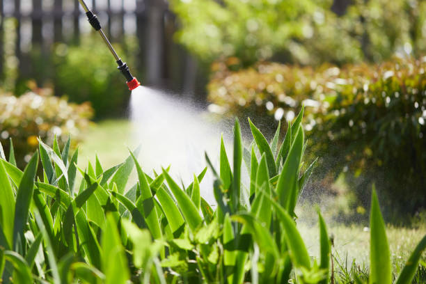24/7 Emergency Mosquito Control experts in Hooker, OK